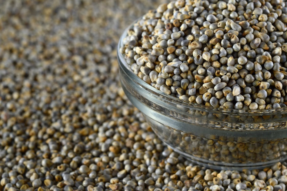 Bajra (Pearl millet) in glass bowl